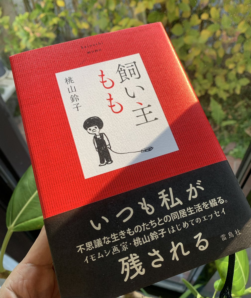 inodesu's tweet photo. 「なんか面白い本が読みたいな」という人にスゲェお薦めできる本を読んだ。面白いなんて人それぞれでしょ？いやそんな垣根をこの本は乗り越える。
イモムシ画家、桃山鈴子の自伝エッセイ『飼い主もも』。
生き物たちの生と死と、彼女の人生のデコボコが共鳴しあってなんとも感動的な本でした。 https://t.co/BwCNBmbRLU