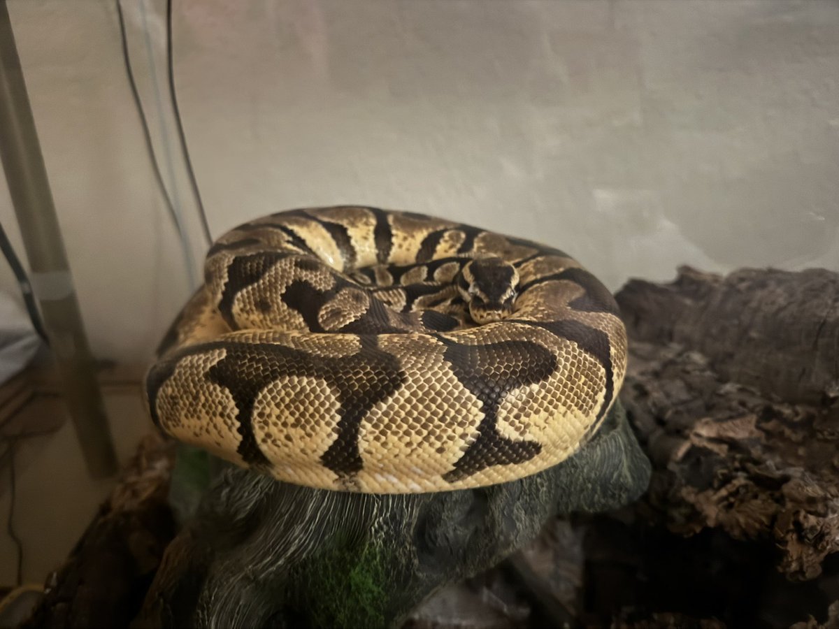 Jeremy Fairchild tweet media