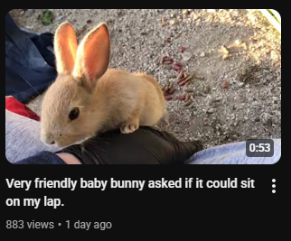 ThatDumbJodie's tweet image. 