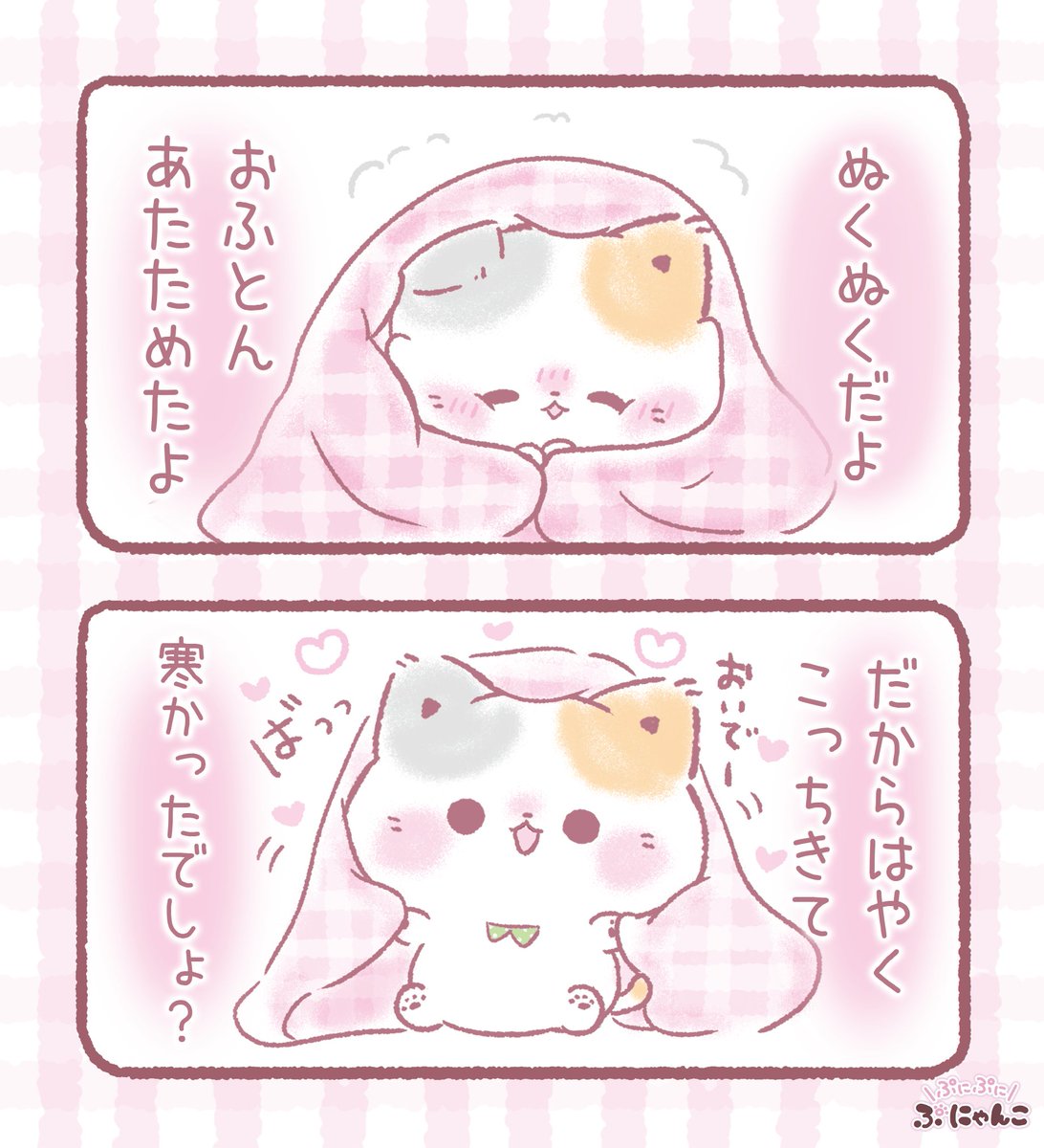 君のことあっためる！ฅ(`•ᆺ•´)ฅ✨💕

#猫 #ねこかわいいね #ぷにゃんこ