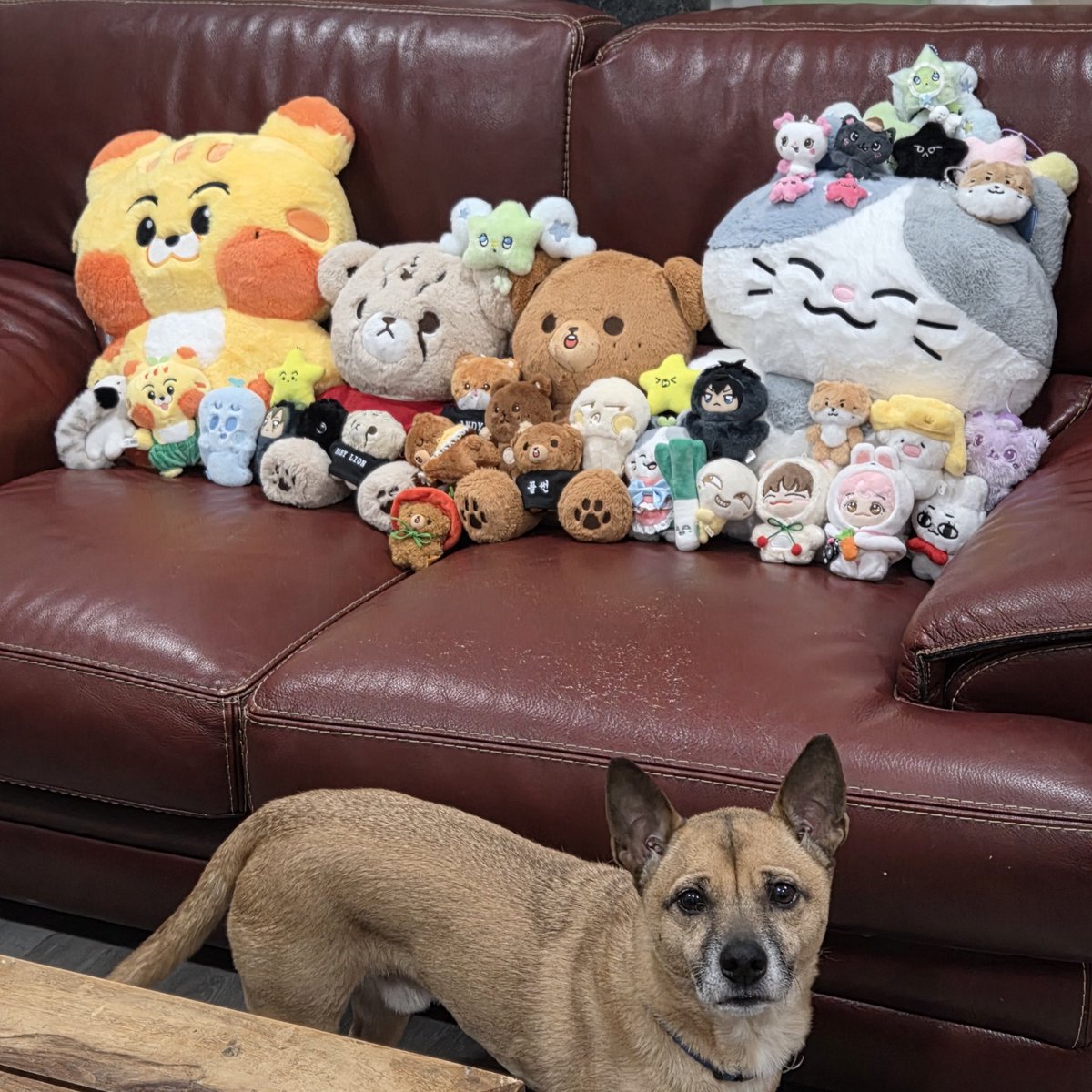 the kids tweet media