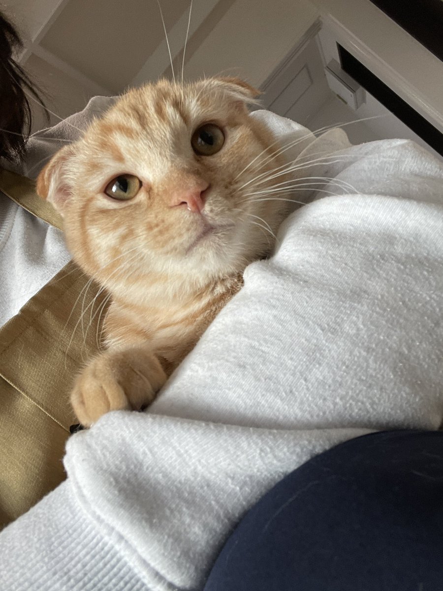 いずもん/まろ様＊mfmf (@7nfxwoi3F8lSqHU) / Posts / X