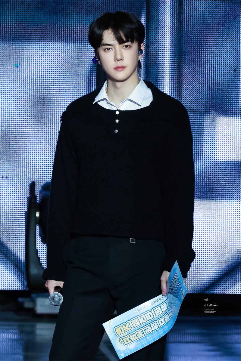 WindFlower tweet media