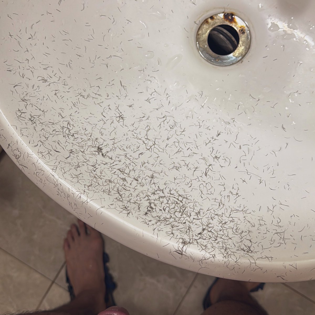 Grindr_Wolf tweet media