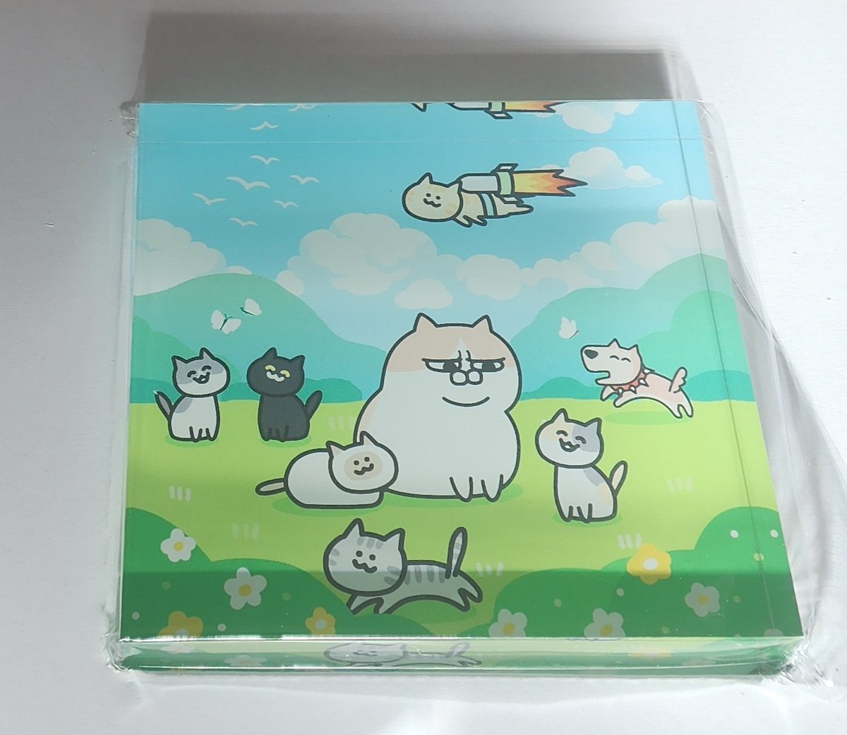 猫乃🐈‍⬛🐈️…🐥 (@kouoffice) / Posts / X