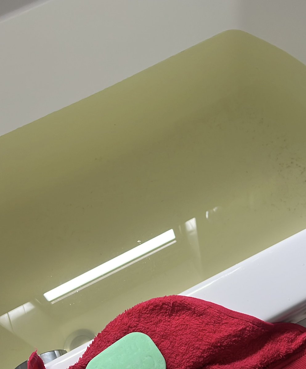 Tulip 🌷 tweet media