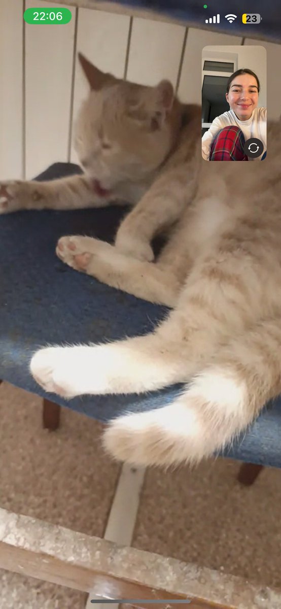 пані Марися tweet media