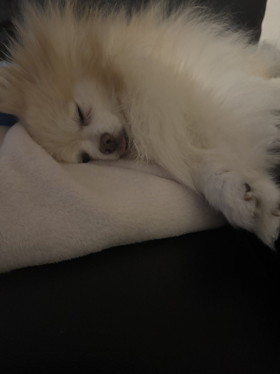 runa (@runa10311216) / Posts / X