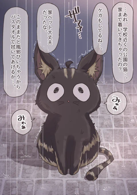 黒猫が褐色ギャルになっちゃった🐈‍⬛ 