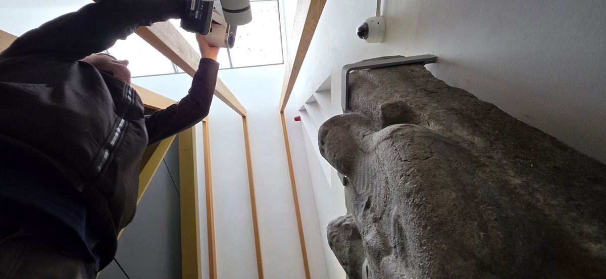 David Stone tweet media