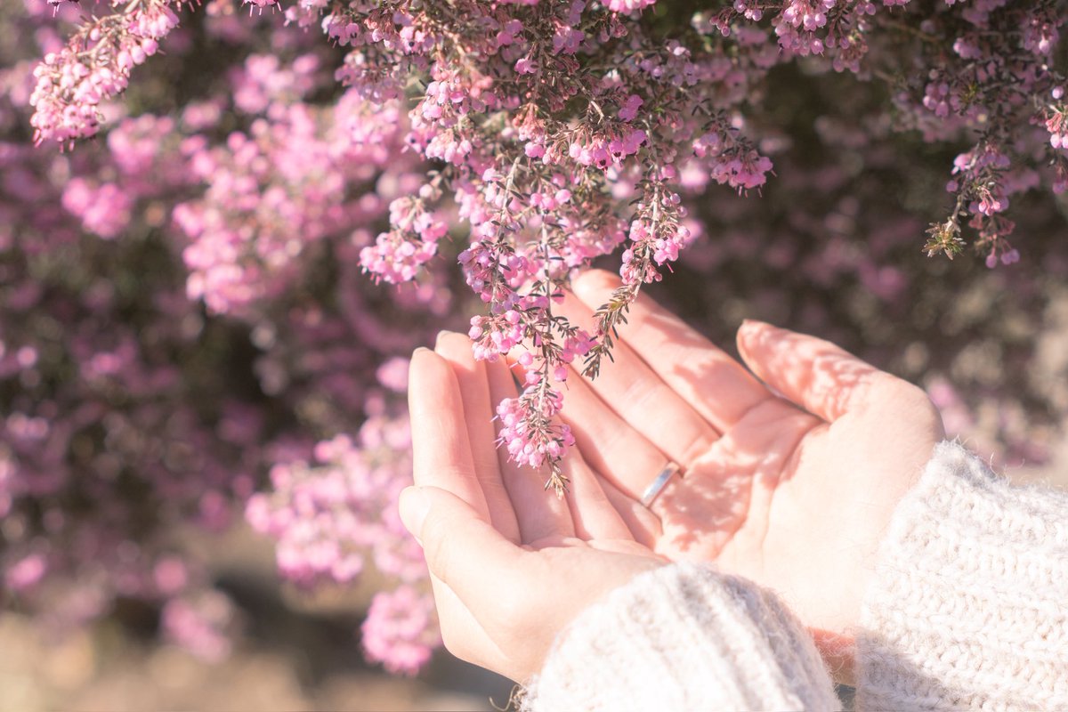 孤独も寂しさも全部抱きしめるから。
