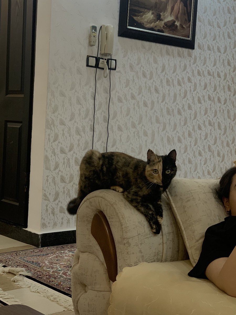 disisepiphany's tweet photo. چقدر شبیه کاترین ماست:( https://t.co/lZg4QZBlZm