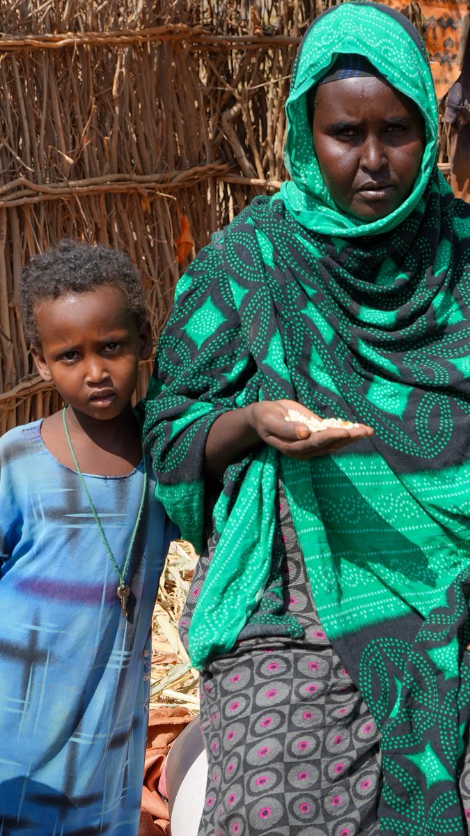 Agro-pastoralists in Kelafo &amp; Adadle are rebuilding their lives after years of climate shocks including drought &amp; floods. With seeds, training &amp; cash from <a href="/UNCERF/">CERF - The UN's emergency fund</a> through <a href="/UNOCHA/">UN Humanitarian</a>; <a href="/FAO/">Food and Agriculture Organization</a>, #SomaliRegionGovt &amp; #ESDA, are restoring food security for households.

#Resilience #Nutrition