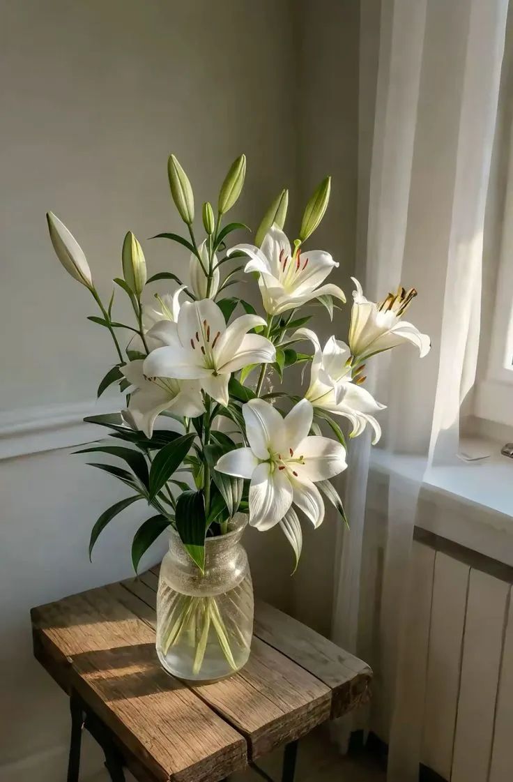 chaarpaai's tweet image. 