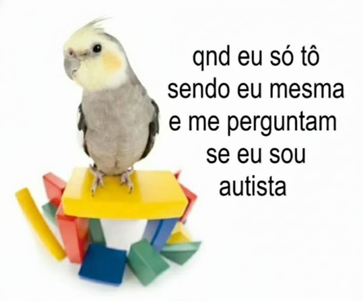 odeiootaco's tweet photo. https://t.co/ChtSZTQvBL