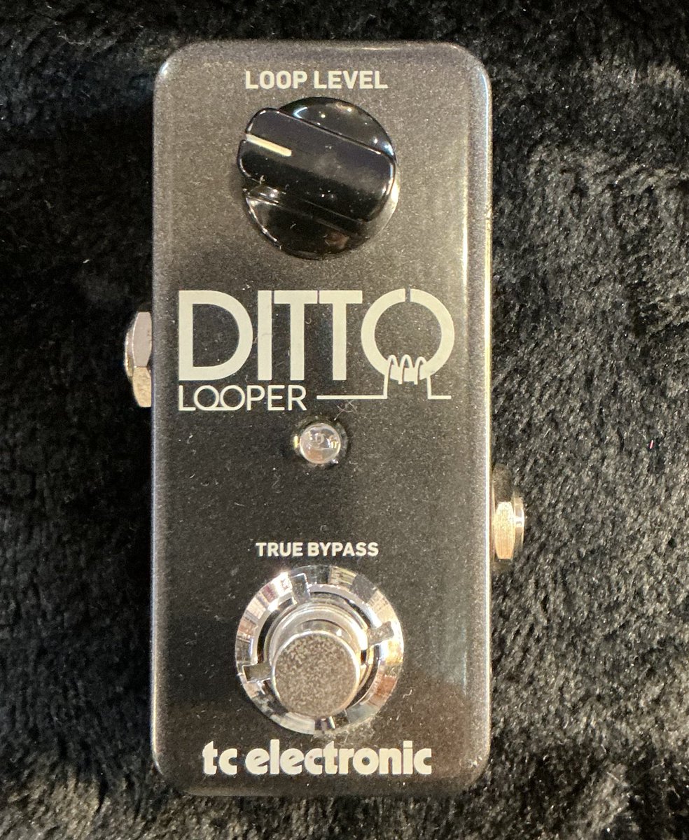 つくば店】TC electronic / DITTO LOOPERが中古にて入荷しました