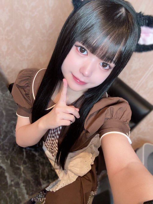 にゃんこメイドカフェ にゃんさんぶるのツイート