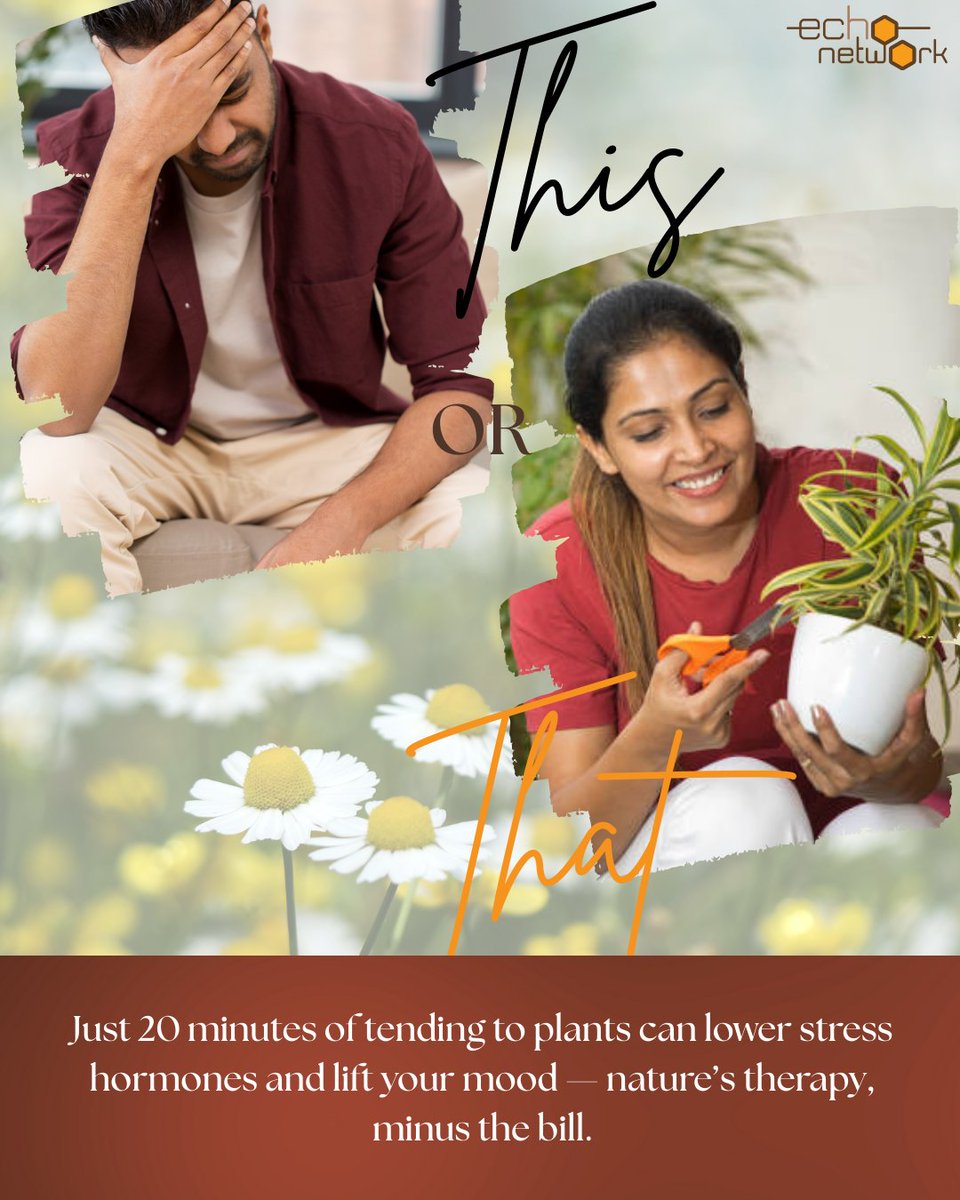 the echo network tweet media