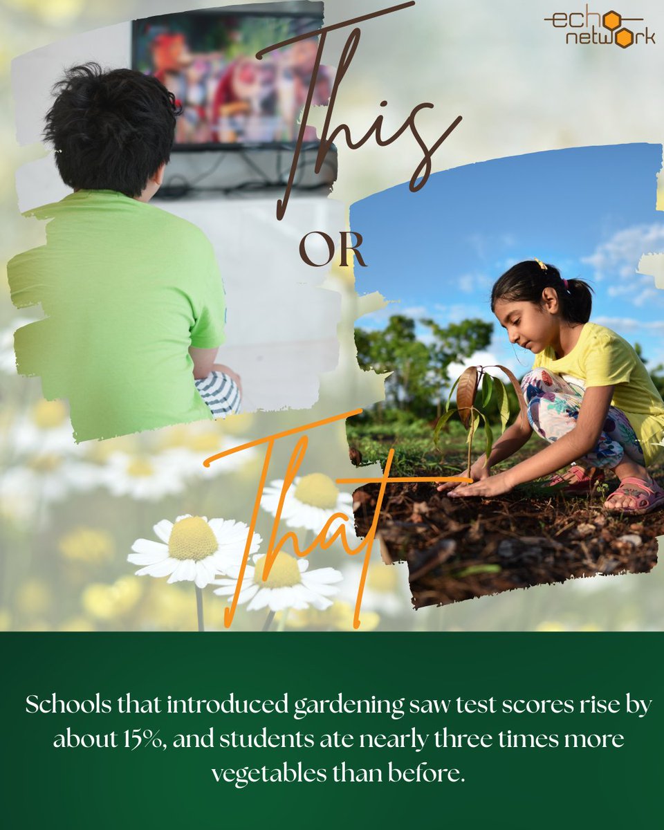 the echo network tweet media