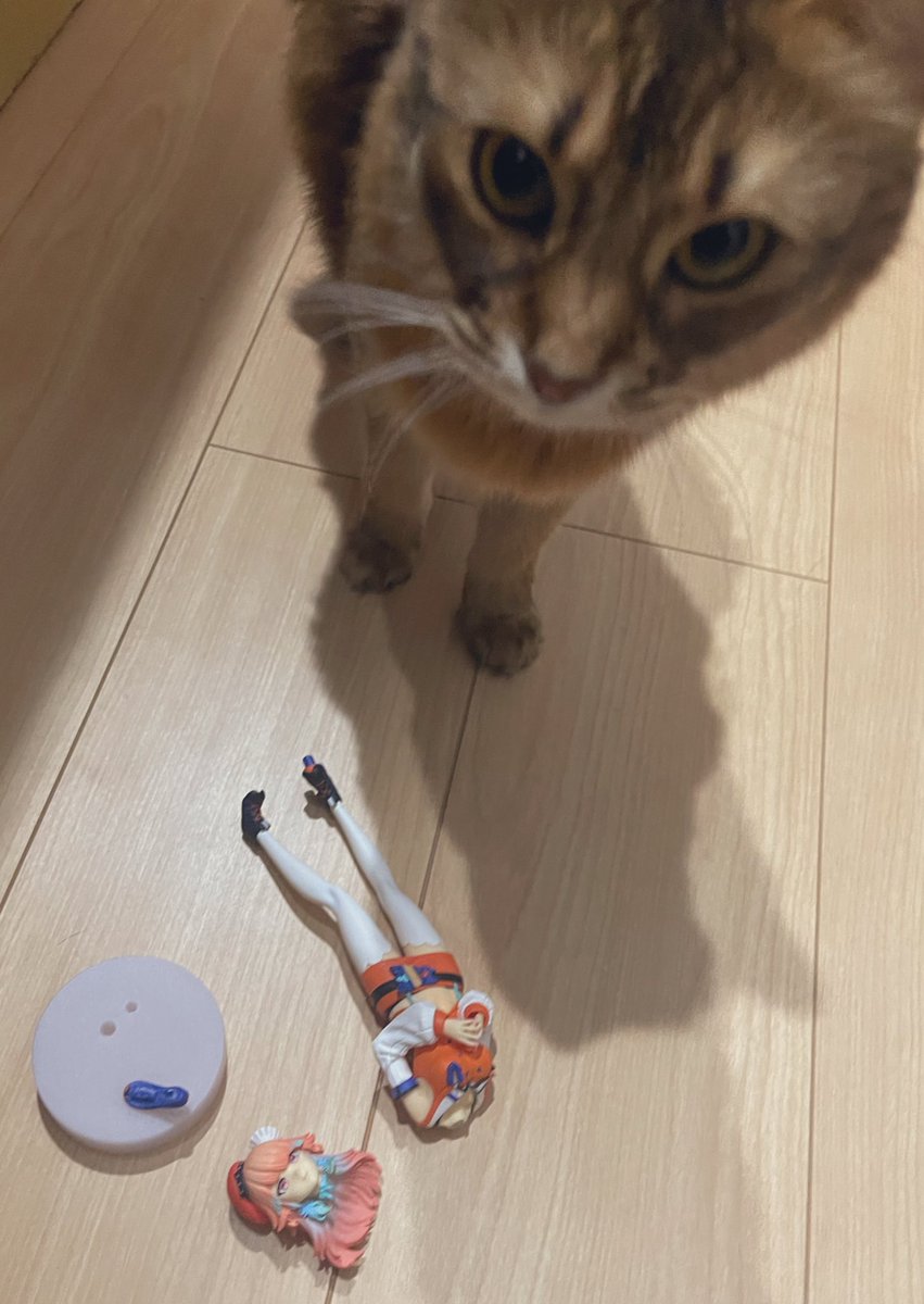 moricalliope's tweet image. YOU KNOW WHAT YOU DID