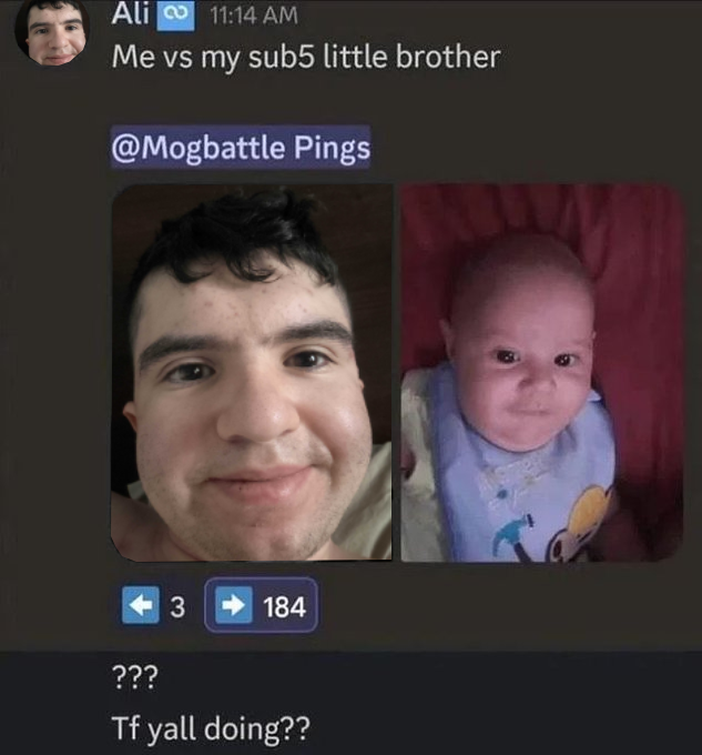 good evening tweet media