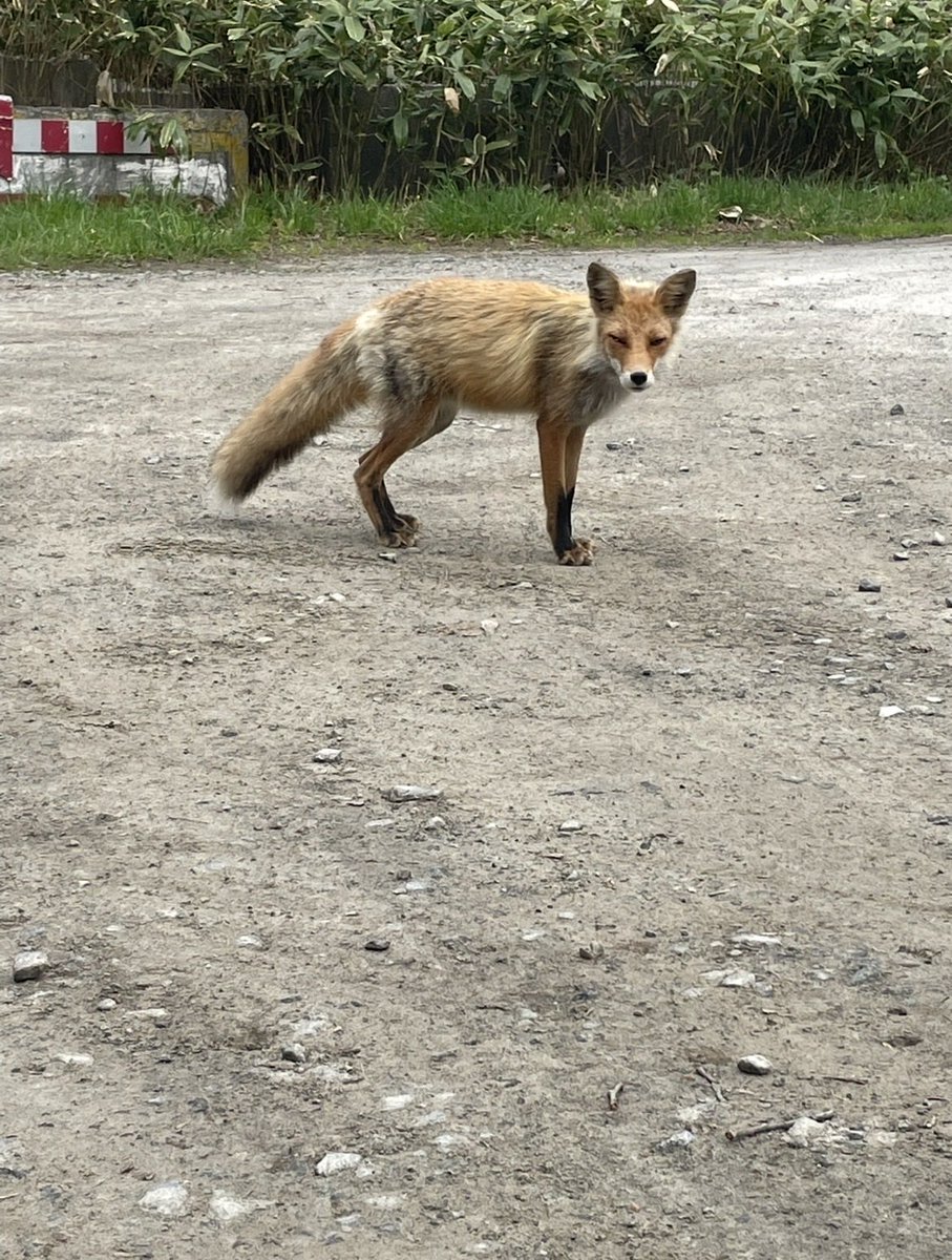 かっつん🤪 (@73_tsk) / Posts / X