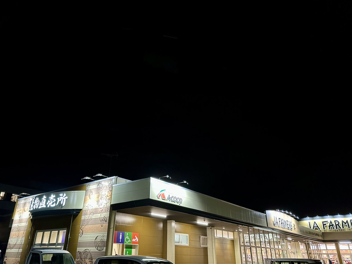 裏の犬 tweet media