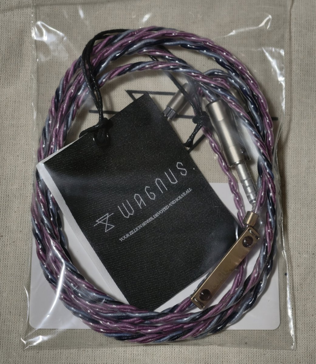 Wagnus._discipulus (@Toru_wagnus) / Posts / X