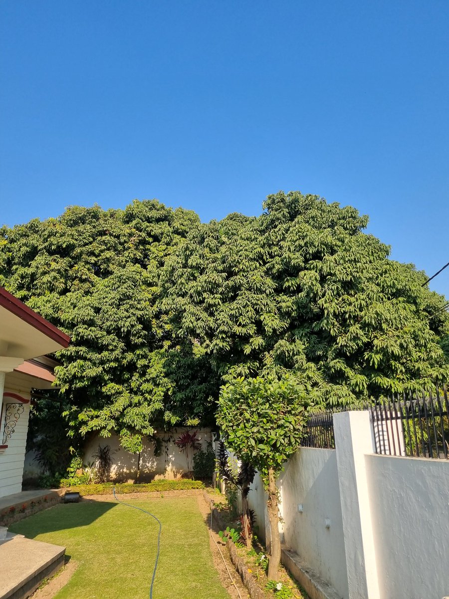 Gauri Pokhariyal- Gauri’s ThoroughBreads® tweet media