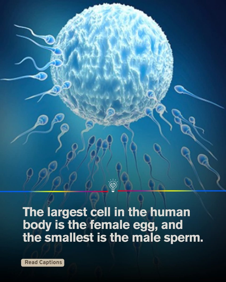 TWorldReporter's tweet image. Njeri