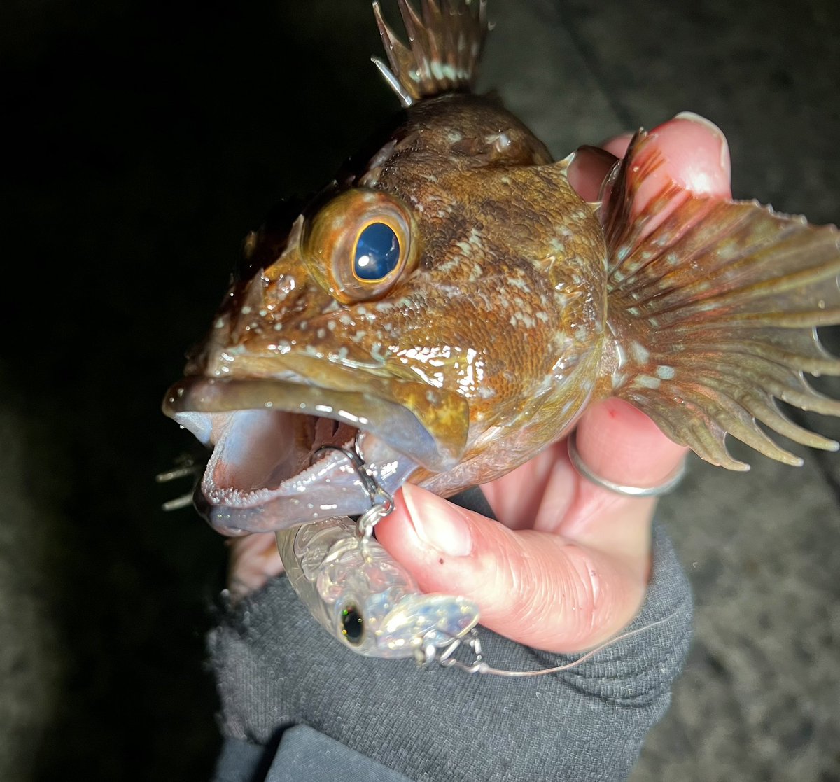 チキュー (@chikyu523) / Posts / X