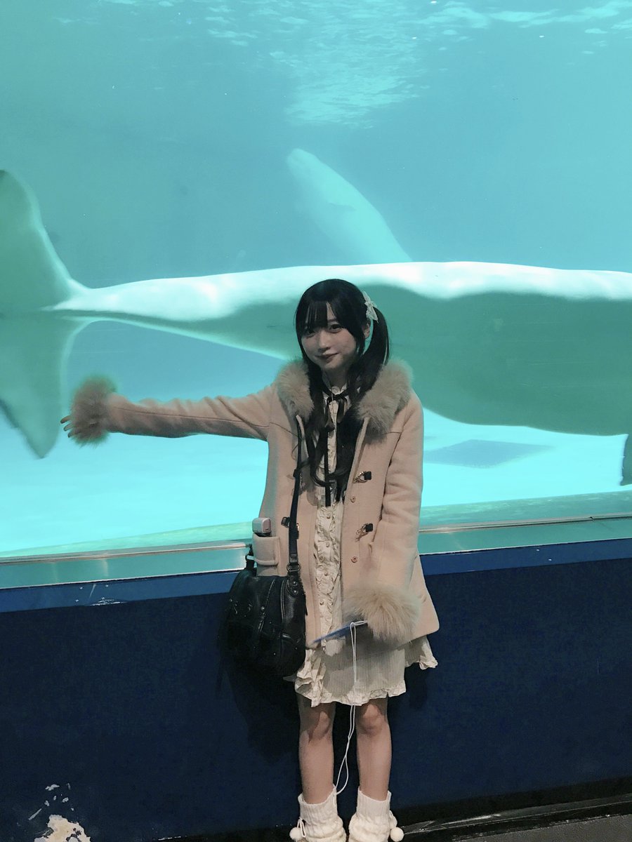 myaci0's tweet photo. べるーが https://t.co/kJR84i08no
