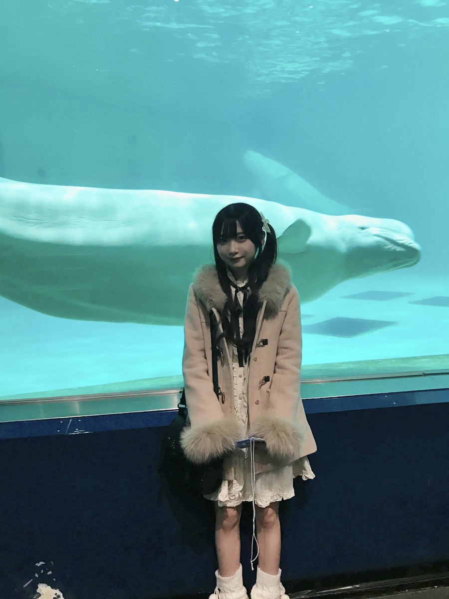 myaci0's tweet photo. べるーが https://t.co/kJR84i08no