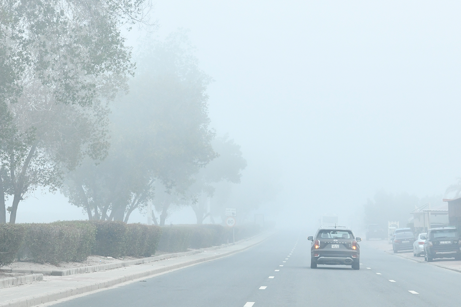 الأرصاد: انخفاض الرؤية الأفقية بسبب الضباب.. غدًا الأربعاء - من منتصف الليل حتى التاسعة صباحًا 