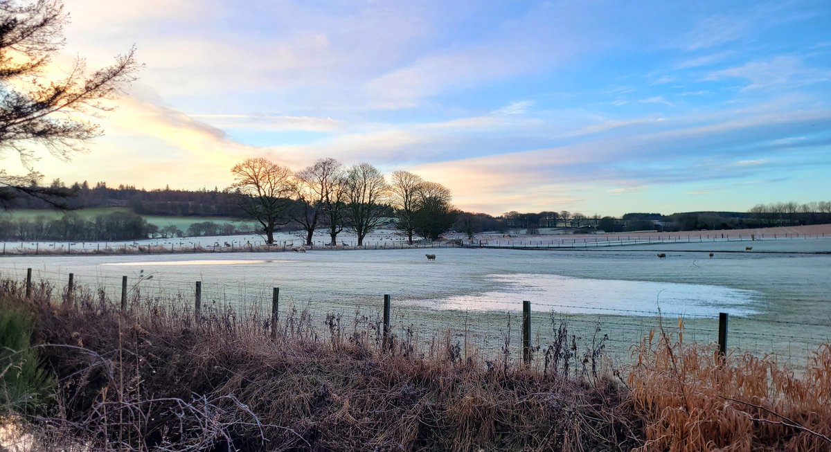 windmolenjonge's tweet image. Cauld mornin. #Strichen