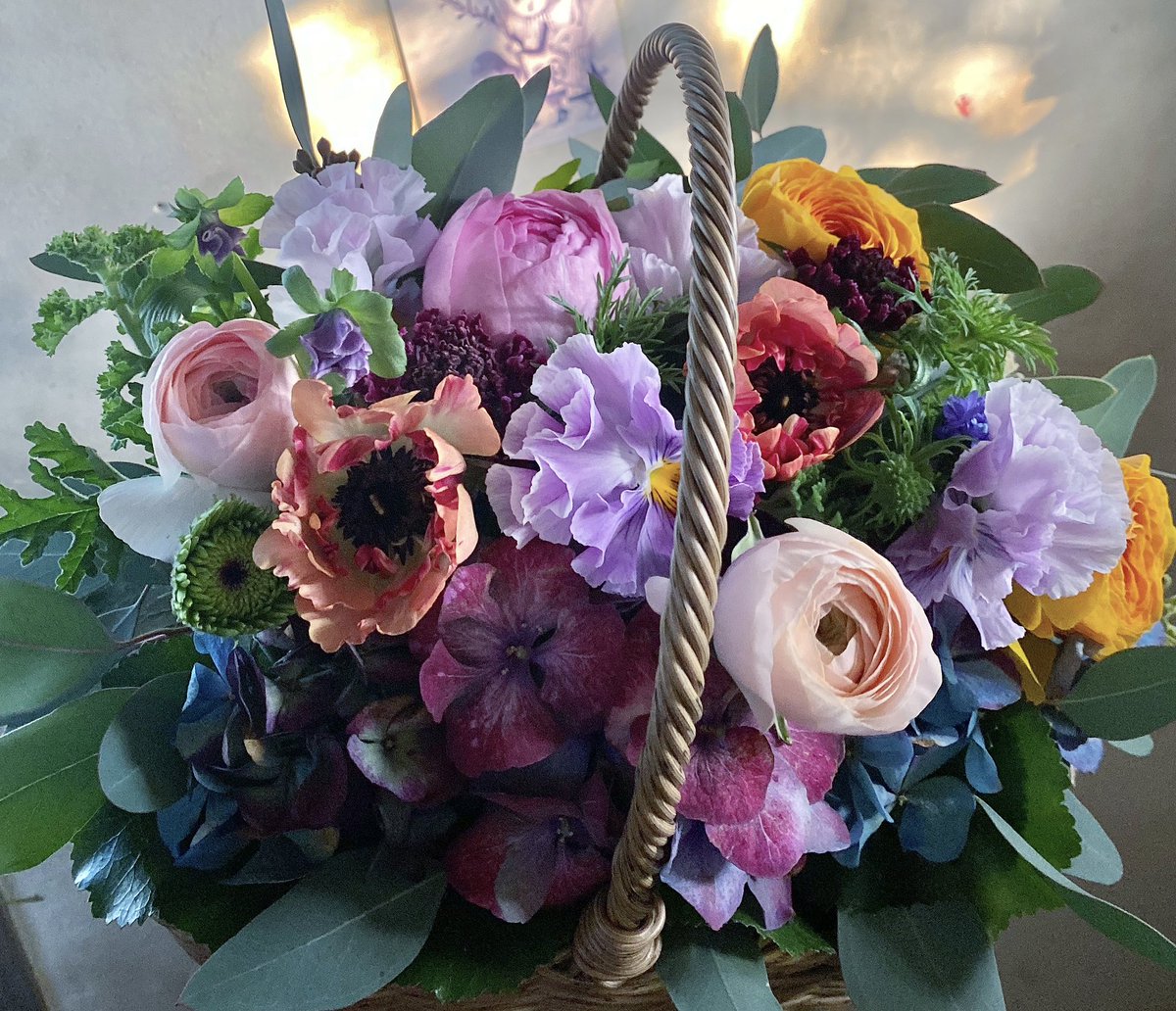 さくらんぼ Sakuranbow (@sakuranbow20) / Posts / X