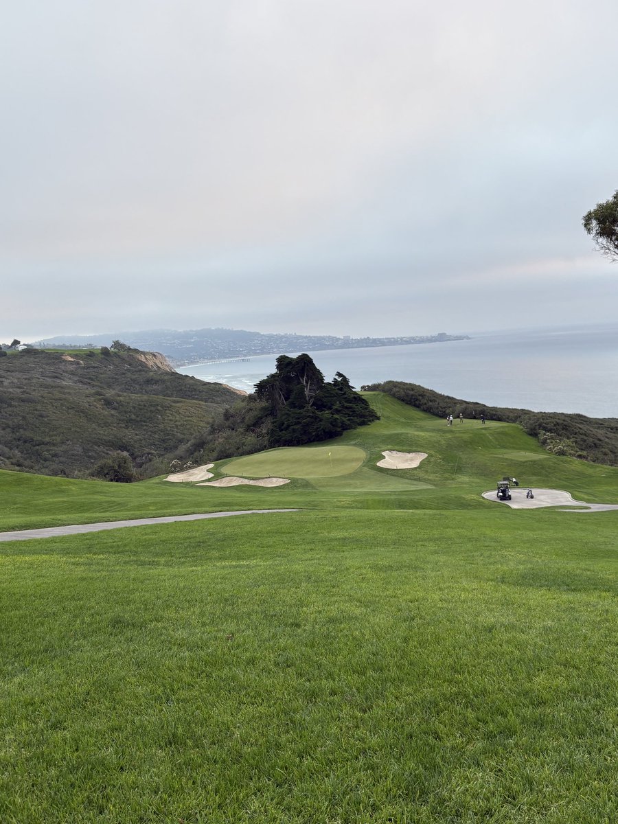 SchwormNate's tweet photo. Torrey Pines- North Course
San Diego, California 
Such a pure course. 65 dollars with booking fee is a steal. Only got 16 holes in but still great value. Will be back soon https://t.co/kgJxu3UPnT