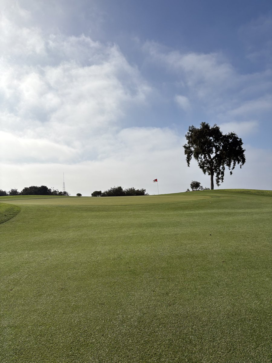 SchwormNate's tweet photo. Torrey Pines- North Course
San Diego, California 
Such a pure course. 65 dollars with booking fee is a steal. Only got 16 holes in but still great value. Will be back soon https://t.co/kgJxu3UPnT
