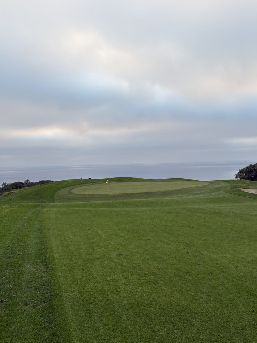 SchwormNate's tweet photo. Torrey Pines- North Course
San Diego, California 
Such a pure course. 65 dollars with booking fee is a steal. Only got 16 holes in but still great value. Will be back soon https://t.co/kgJxu3UPnT