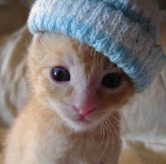 spork⁷⋆｡☾⋆𝙴𝙲𝙷𝙾 (@jmspork) on Twitter photo 