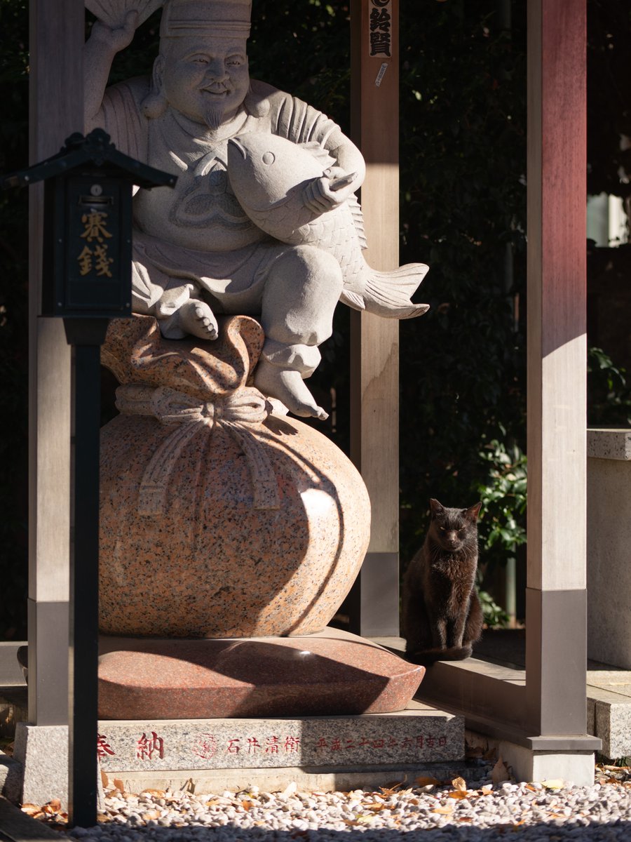 そとねこたちのポートレート 大黒様の隣に黒猫がいる、大黒猫だ！と