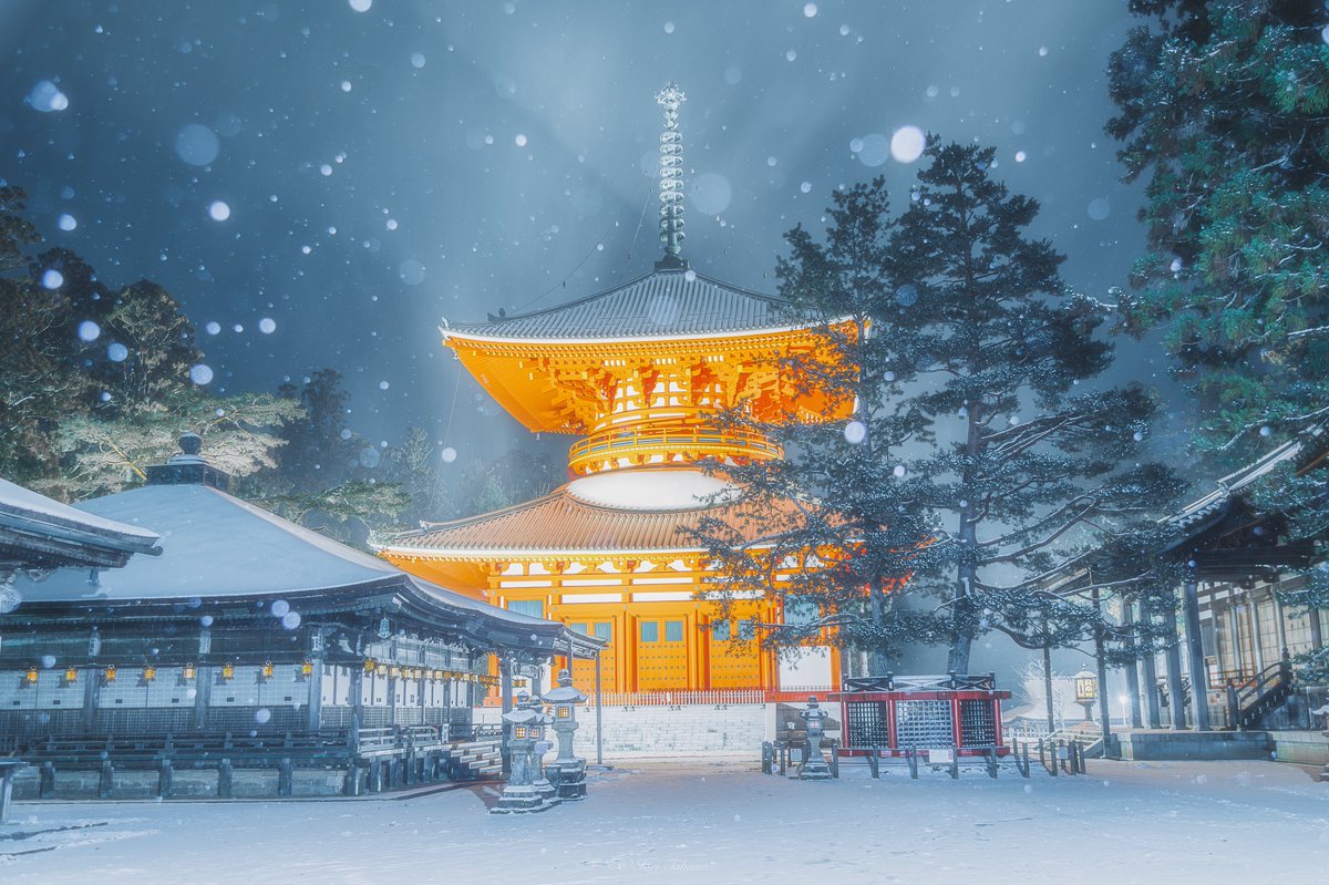 ポムの蒼。(ポムノアオ) (@pomu_iyashi) / Posts / X