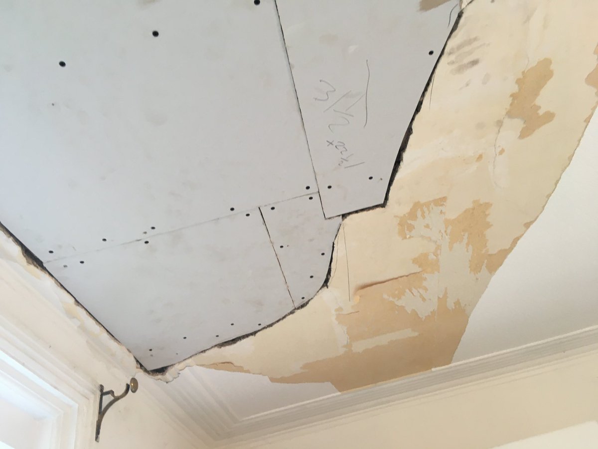 Pegasus Plasterers tweet media