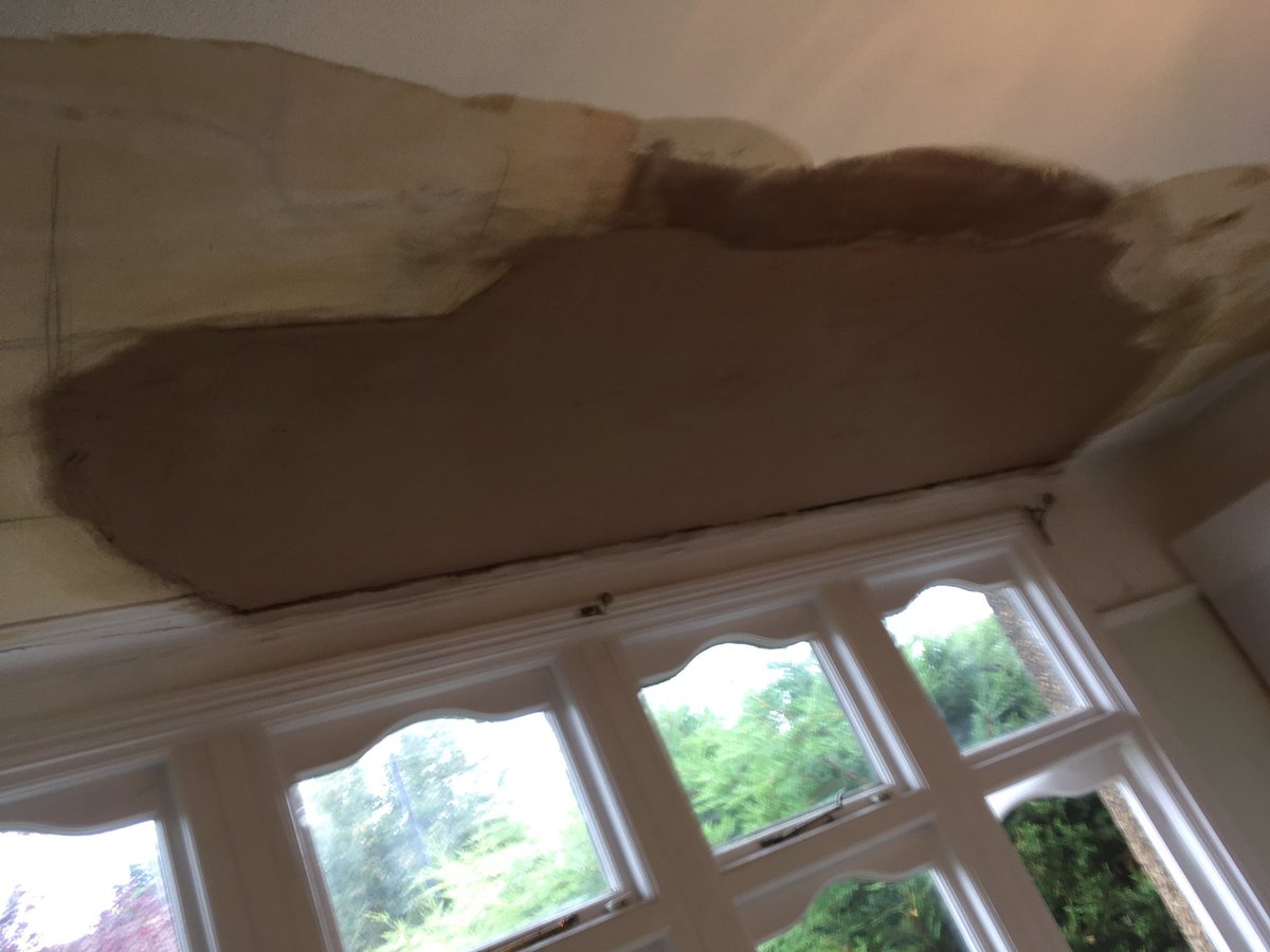 Pegasus Plasterers tweet media