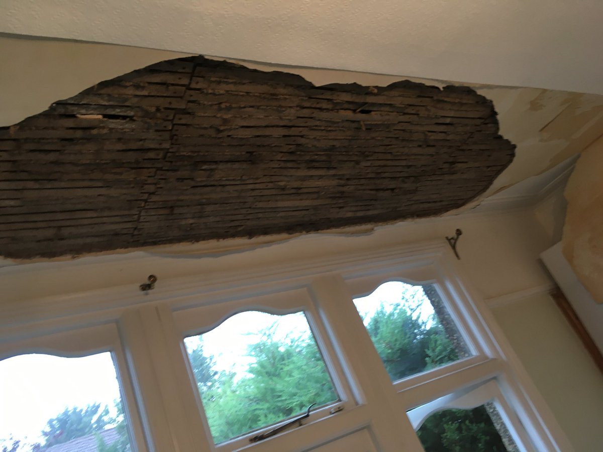 Pegasus Plasterers tweet media