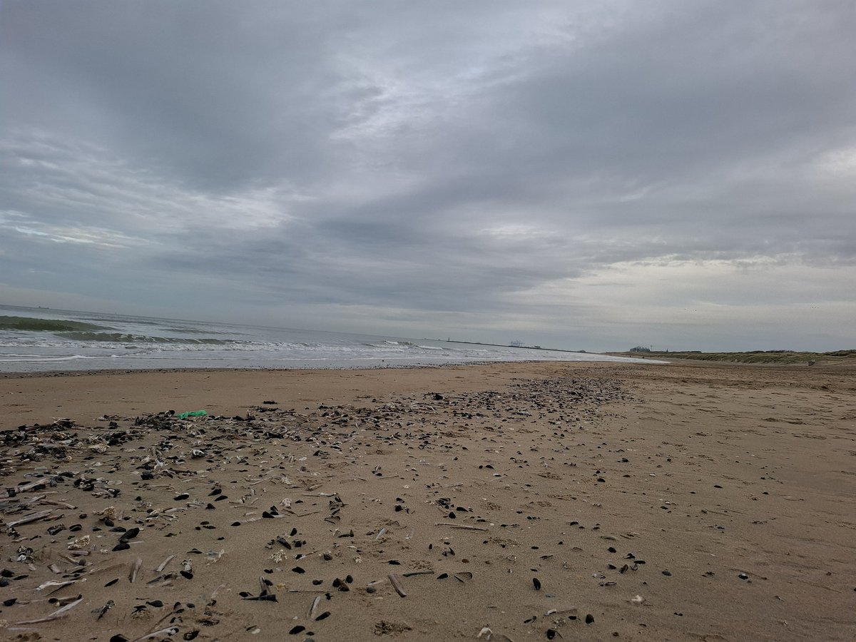 rogerackaert's tweet photo. De Haan - Wenduine 16/12/2025
10.16u  #vrtweer 
Wenduine Plage 😀 https://t.co/EYWrtWcmKz