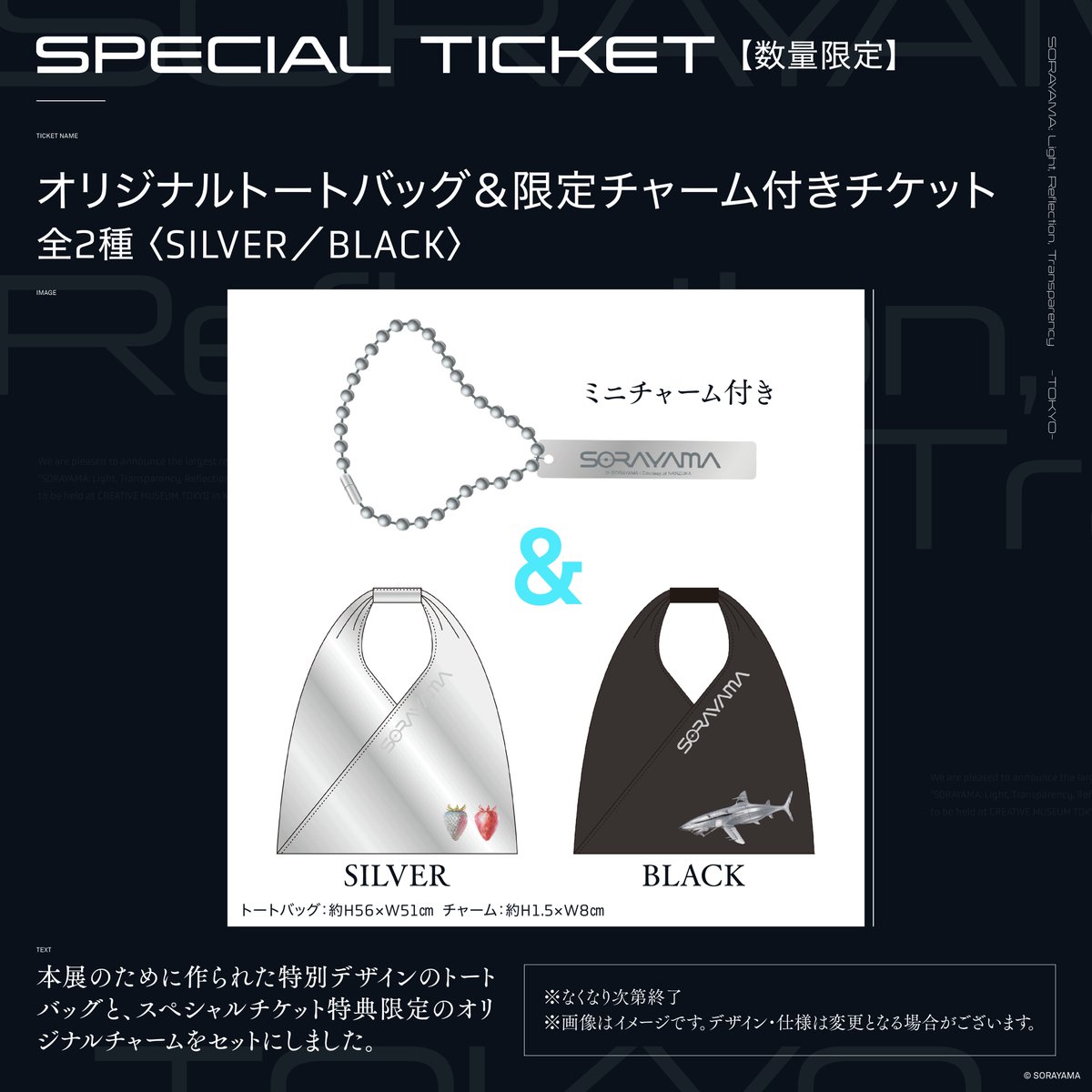 JAPAN TOUR 2023 VIP席の記念品＋首掛けチケット、紙袋 JAPAN TOUR 2023 VIP席の記念品＋首掛けチケット、紙袋 JAPAN TOUR