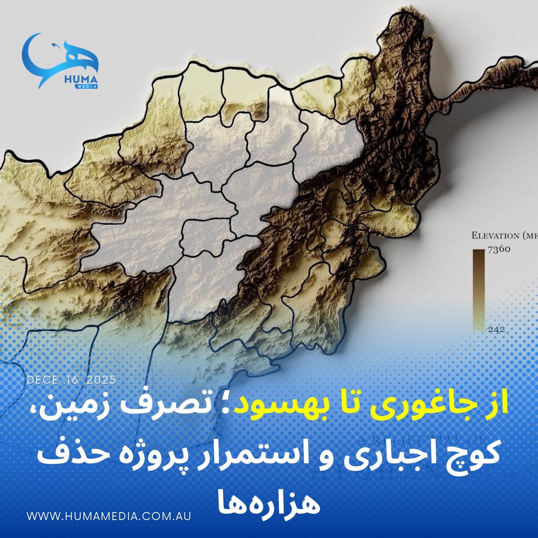 Huma Media tweet media