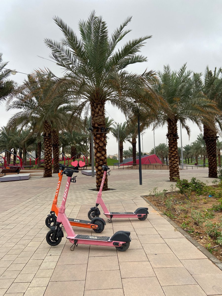 اجمل اختبار واجمل يوم 🤍