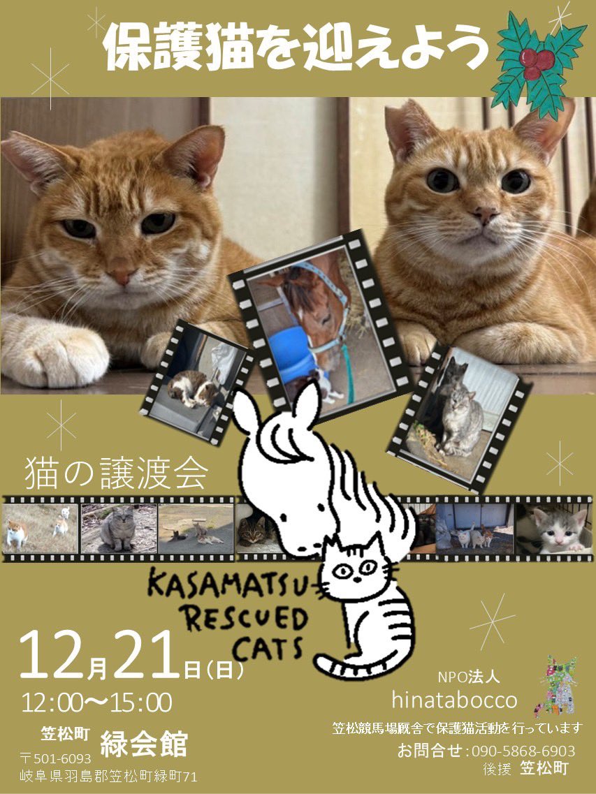 にゃんたろー (@1CigRKXW3leAyjD) / Posts / X